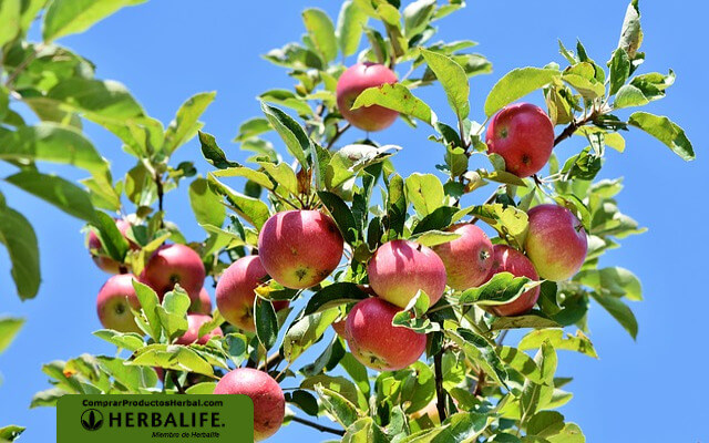 Batido de limón, manzana, espinaca adelgazar 